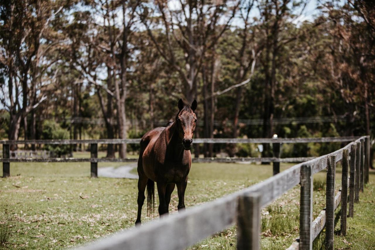 ホテル Worrowing Jervis Bay ハスキッソン エクステリア 写真