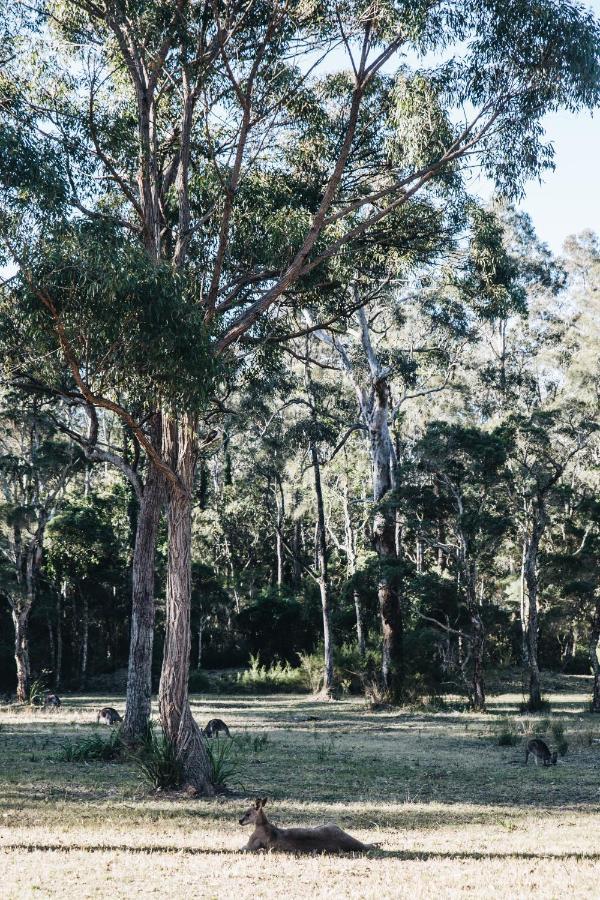 ホテル Worrowing Jervis Bay ハスキッソン エクステリア 写真