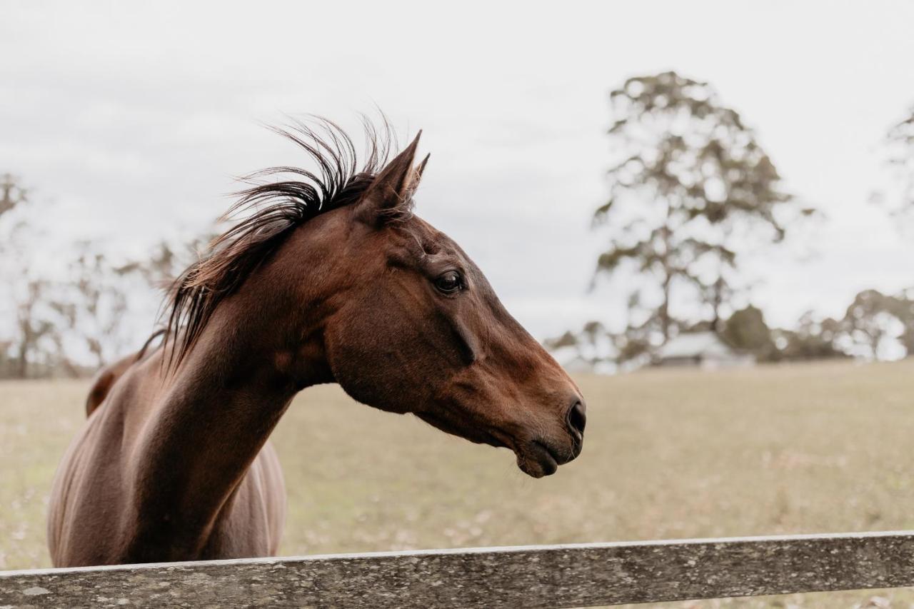 ホテル Worrowing Jervis Bay ハスキッソン エクステリア 写真
